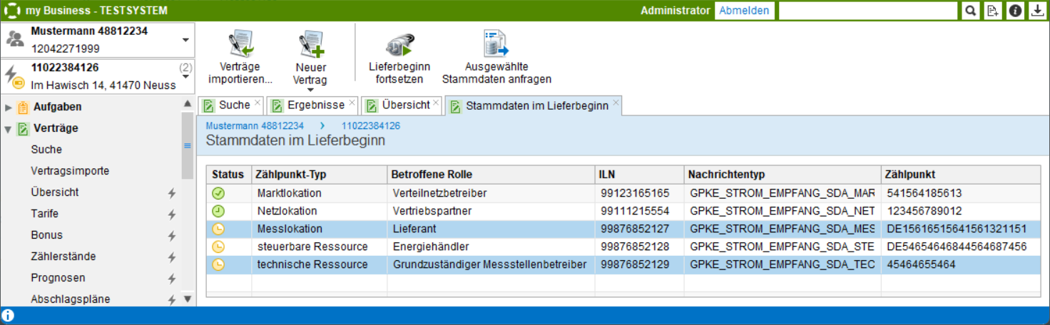 Stammdaten im Lieferbeginn